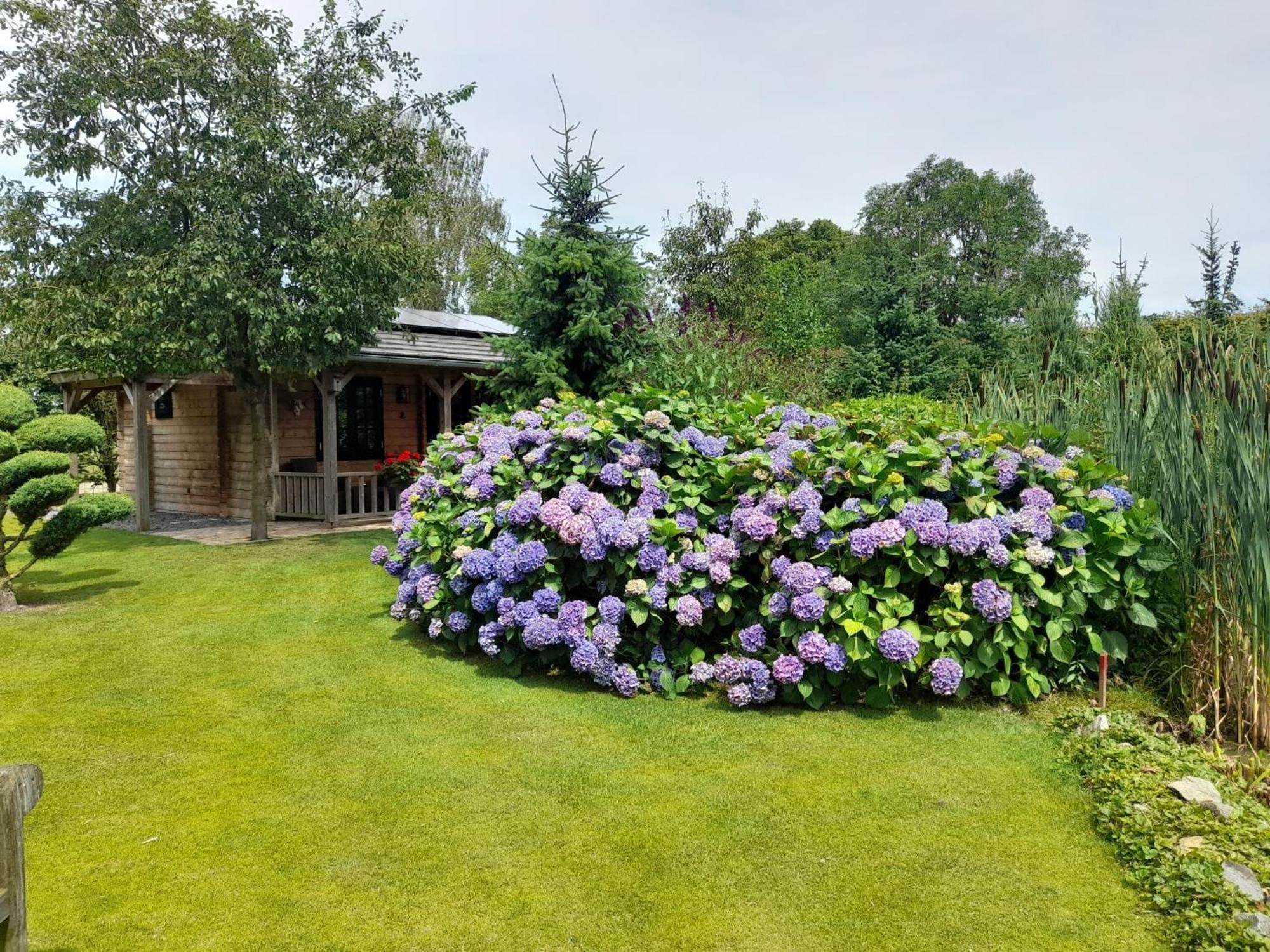 Appel Lodge Diessen Zewnętrze zdjęcie